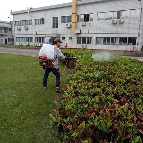 广州天河区棠东某小学灭鼠灭四害